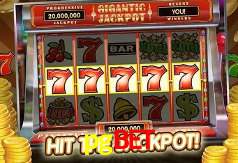 Descubra o Mundo do Cassino Online com pgbet