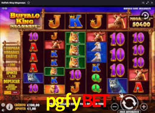 Programa VIP pgfybet